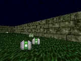 A saved frame of the REFLEX agent navigating a Doom health gathering scenario